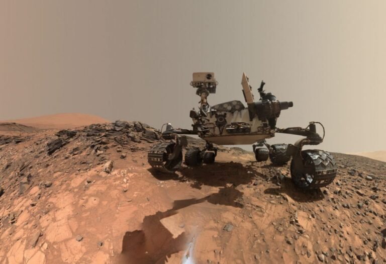 Management Lessons From The Mars Rover Landing